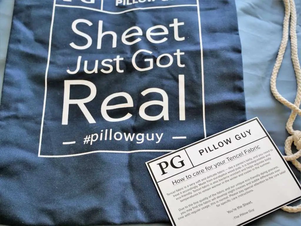 Pillow guy travel bag