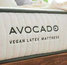 Avocado Vegan Latex Review