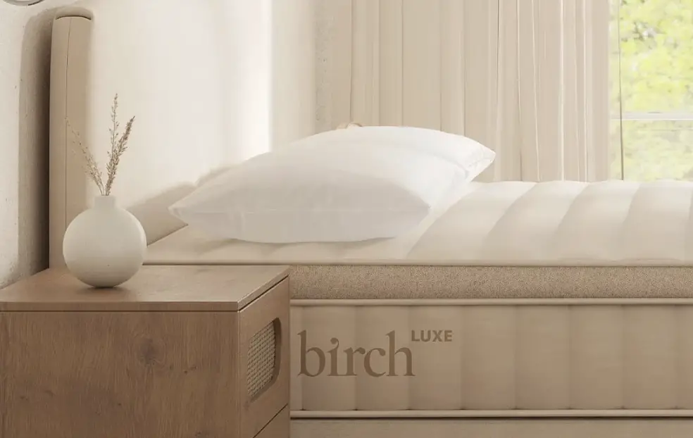 Pure Parima Down Pillow Review | October 2025 Birch eco-rest pillow set review