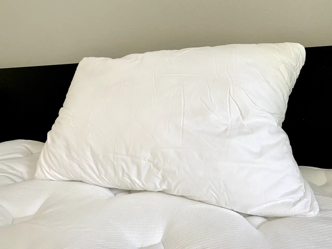 Silk & Snow Pillow Coupon