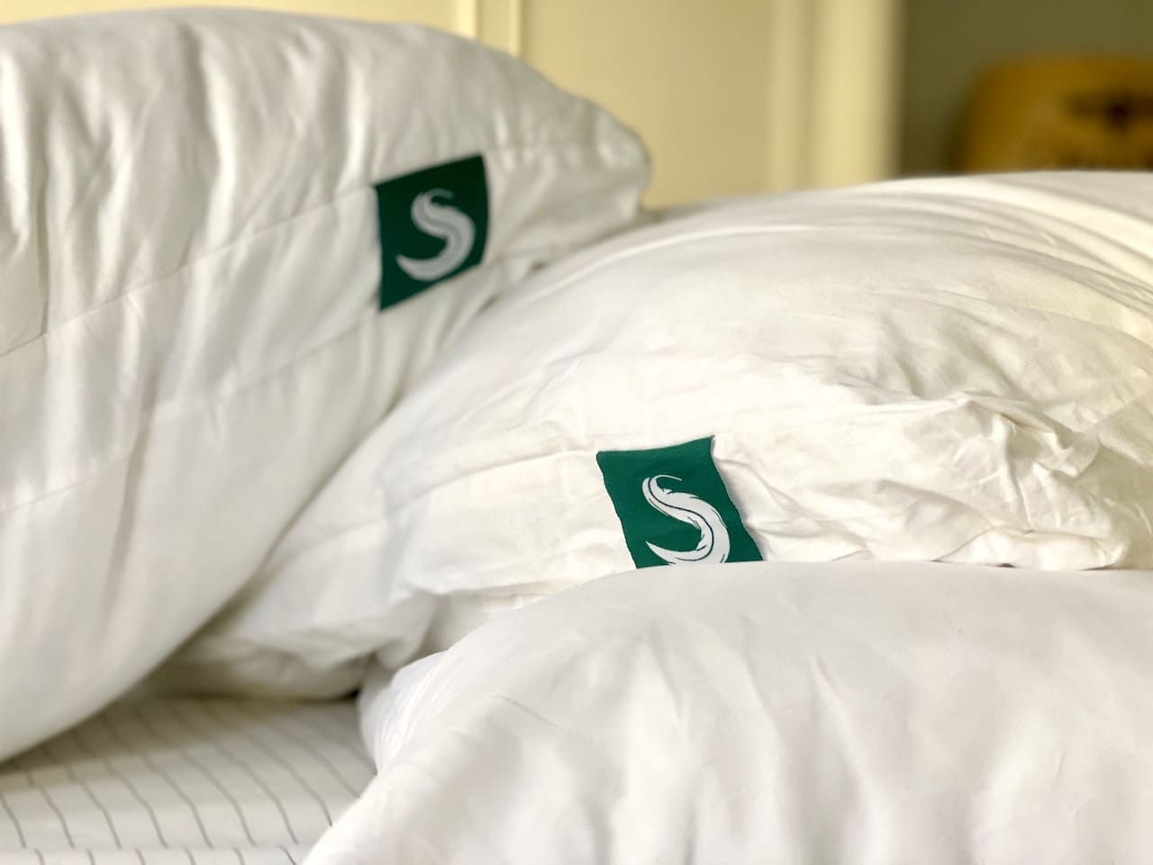 Sleepgram pillow hot sale coupon code