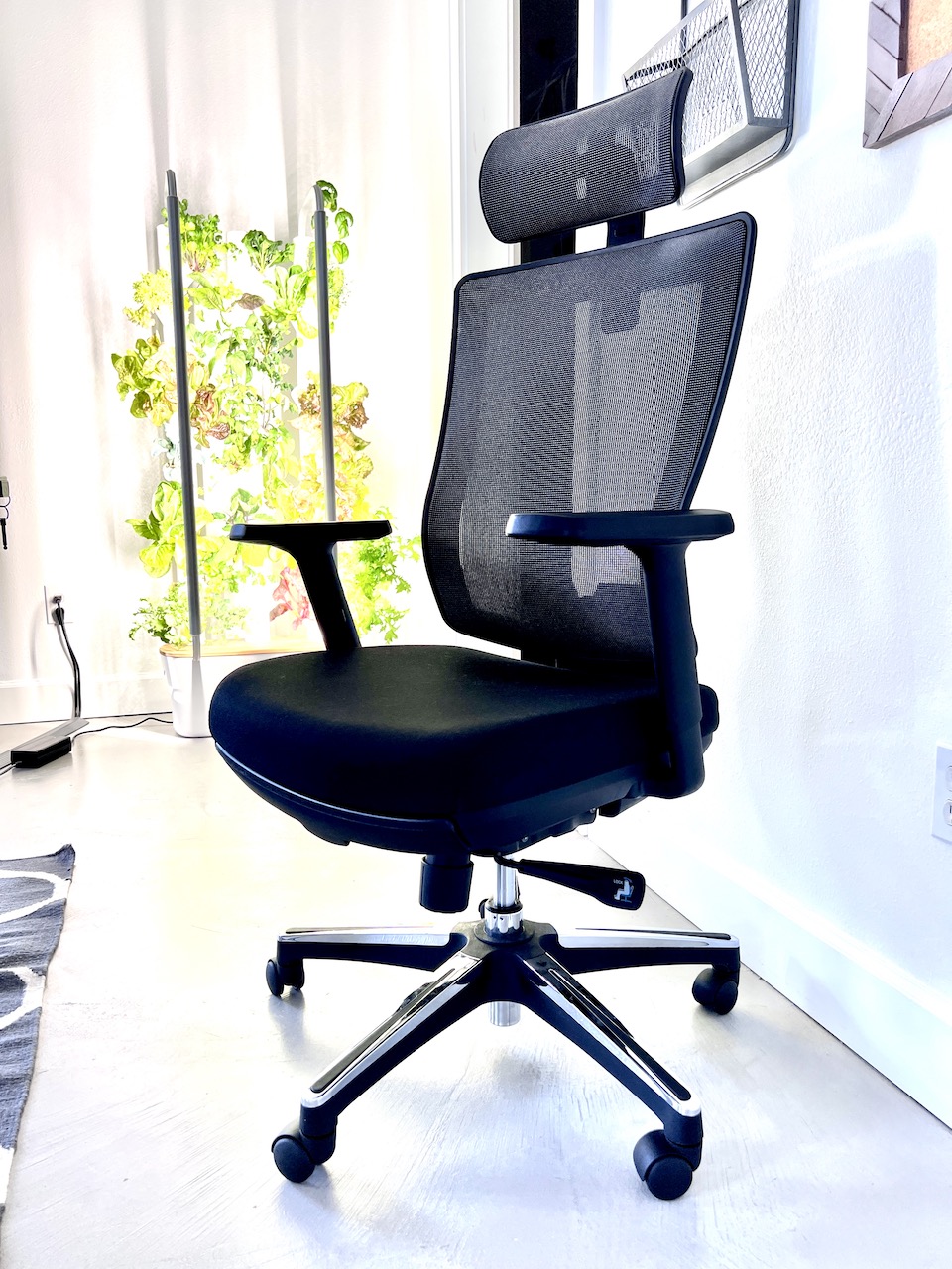 Ergonomic Office Chair with Headrest High Back Business Mesh Task Chair OdinLake Frame Color: Black