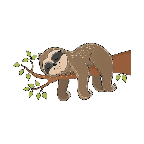 Non-Biased Reviews Sloth Logo