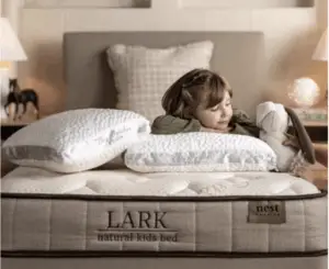 Nest Bedding Lark review
