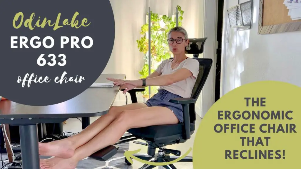 OdinLake Ergo Pro 633 video review