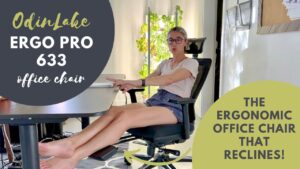 OdinLake Ergo Pro 633 video review