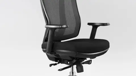 Ergonomic Office Chair with Headrest High Back Business Mesh Task Chair OdinLake Frame Color: Black