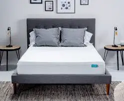 OkiOki Upholstered Bed Review