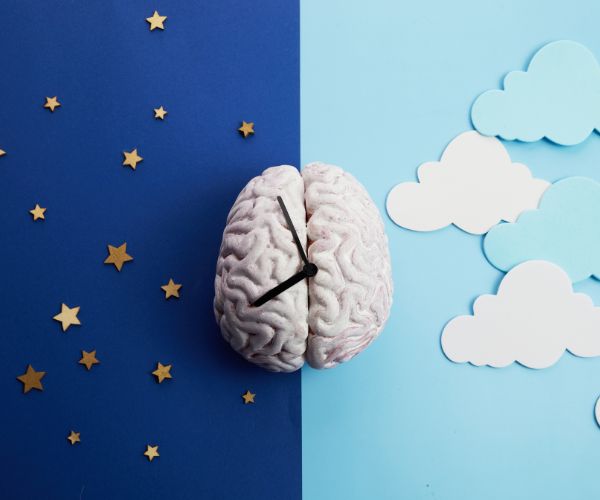 Sleep Hormones | What They Are and How They Affect Your Rest | September 2025 Sleep hormones