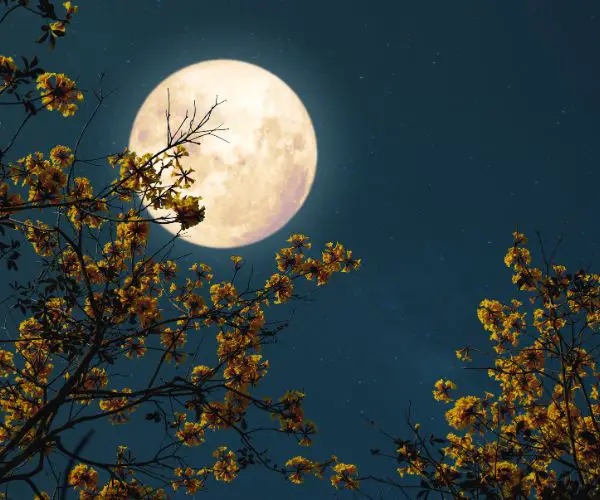 Can't sleep during full moon