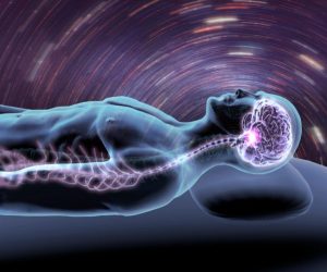 what happens in the brain during sleep